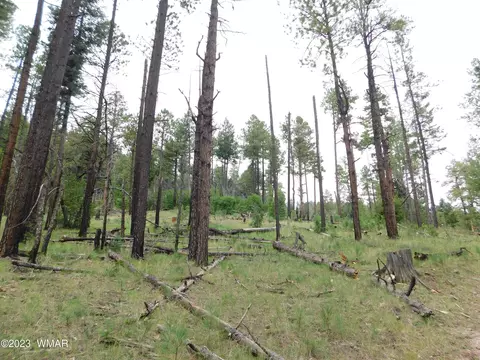 13 N2151, Alpine, AZ 85920 photo 14