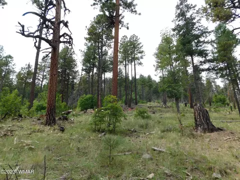 13 N2151, Alpine, AZ 85920 photo 5