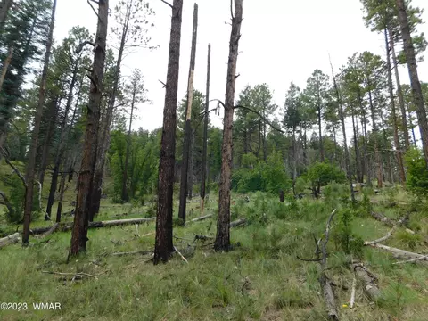 13 N2151, Alpine, AZ 85920 photo 4