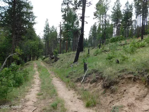 13 N2151, Alpine, AZ 85920 photo 8