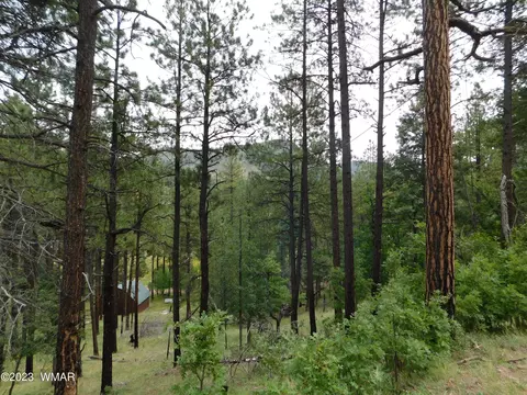 13 N2151, Alpine, AZ 85920 photo 9