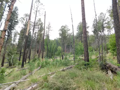 13 N2151, Alpine, AZ 85920 photo 13