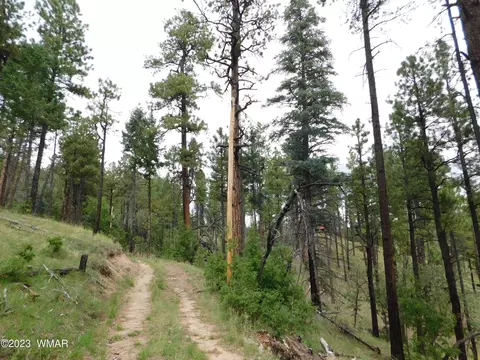 13 N2151, Alpine, AZ 85920 photo 7