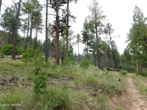 13 N2151, Alpine, AZ 85920 photo 12