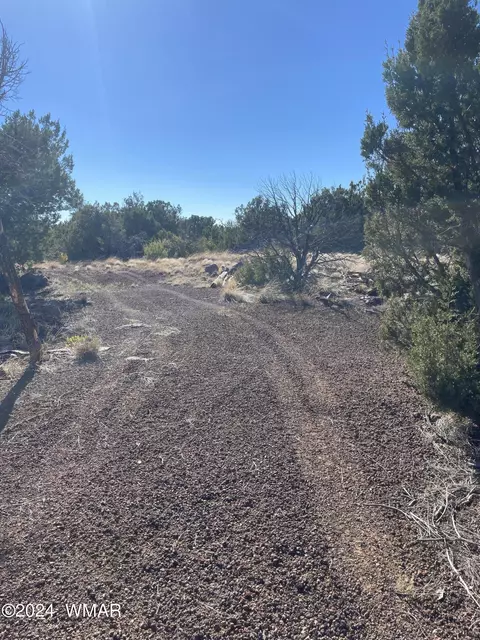12 County Rd, Concho, AZ 85924 photo 10