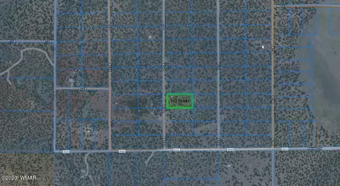 12 County Rd, Concho, AZ 85924 photo 2