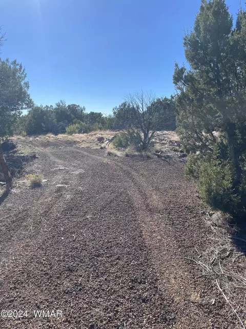 12 County Rd, Concho, AZ 85924 photo 9