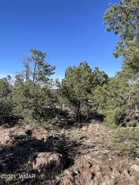 12 County Rd, Concho, AZ 85924 photo 12