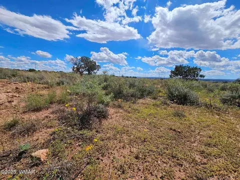 2040 E Snowflake Blvd, Snowflake, AZ 85937 photo 3