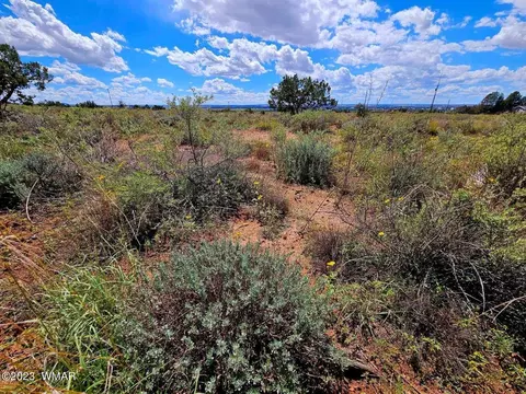 2040 E Snowflake Blvd, Snowflake, AZ 85937 photo 4