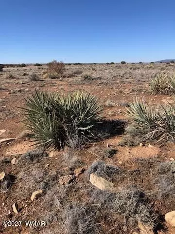 lot663 Chevelon Canyon Rnch, Heber, AZ 85928