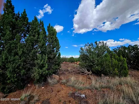 7916 Grandview, Show Low, AZ 85901