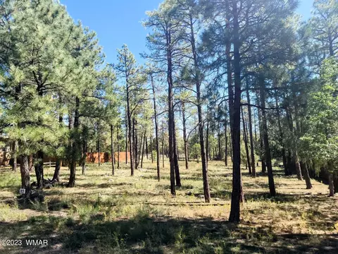 4941 S 32nd St, Show Low, AZ 85901