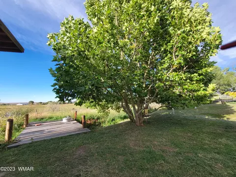 1100 W 7th Ln, Eagar, AZ 85925 photo 31