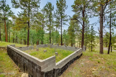 8 N1014, Greer, AZ 85927