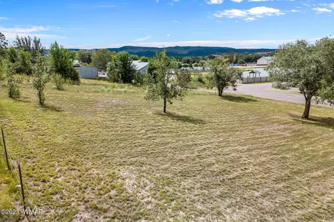 313 Udall St, Eagar, AZ 85925 photo 37