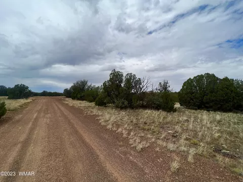 8766 Kaibab Pl, Show Low, AZ 85901