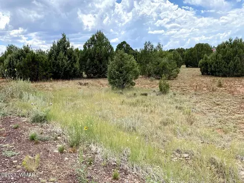 4805 Sawmill Rd, Show Low, AZ 85901