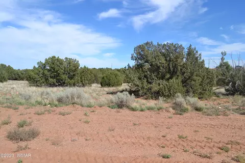 3933 Hidden Ranch Rd, Snowflake, AZ 85937 photo 5