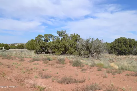 3933 Hidden Ranch Rd, Snowflake, AZ 85937 photo 9