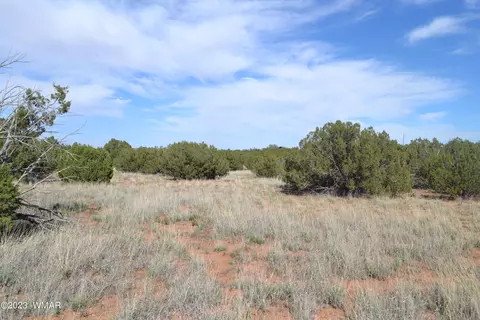 3933 Hidden Ranch Rd, Snowflake, AZ 85937 photo 7