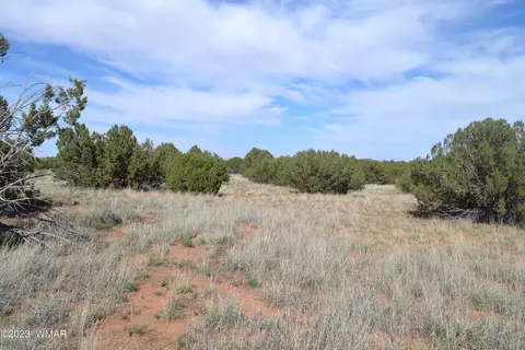3933 Hidden Ranch Rd, Snowflake, AZ 85937