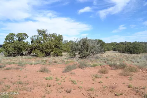 3933 Hidden Ranch Rd, Snowflake, AZ 85937 photo 2