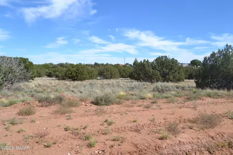 3933 Hidden Ranch Rd, Snowflake, AZ 85937 photo 3
