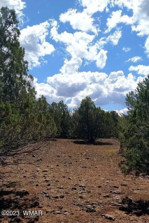 71 County Rd N8148 Parcel 1, Concho, AZ 85924