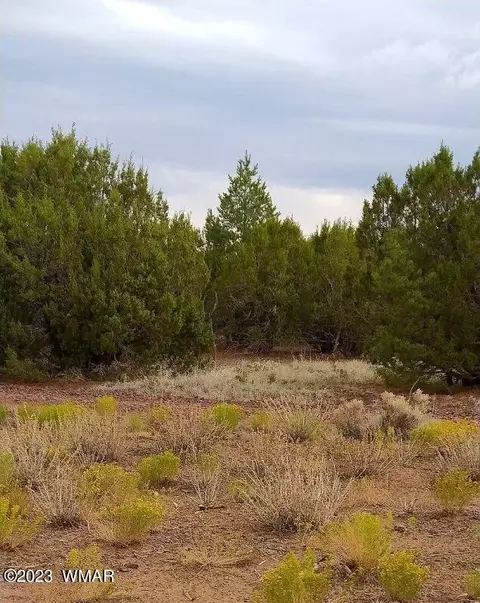 71 County Rd N8148 Parcel 4, Concho, AZ 85924
