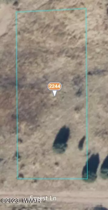 2244 Forest Ln, Overgaard, AZ 85928