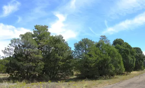 3483 N Pine Cir, Heber, AZ 85928