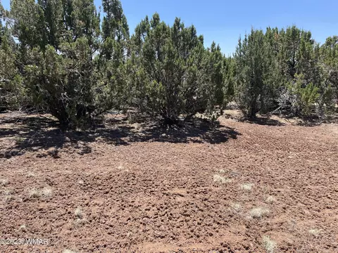 20 County Rd, Concho, AZ 85924 photo 2