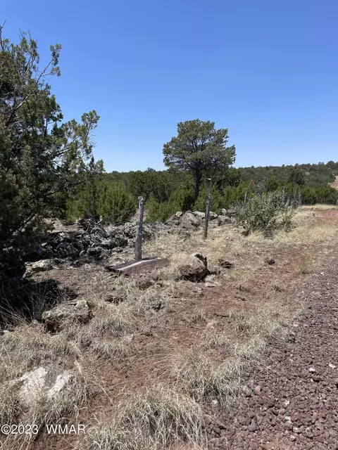 20 County Rd, Concho, AZ 85924 photo 11