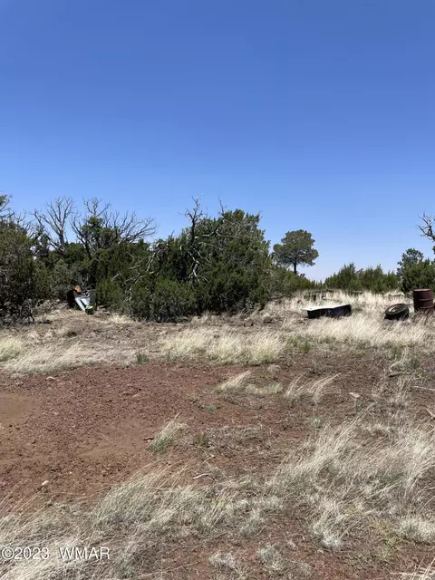 20 County Rd, Concho, AZ 85924 photo 39