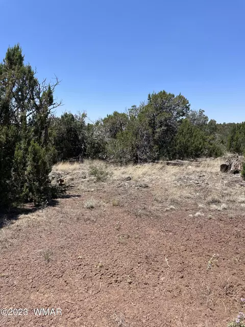 20 County Rd, Concho, AZ 85924 photo 7