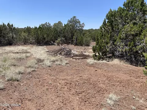 20 County Rd, Concho, AZ 85924 photo 3