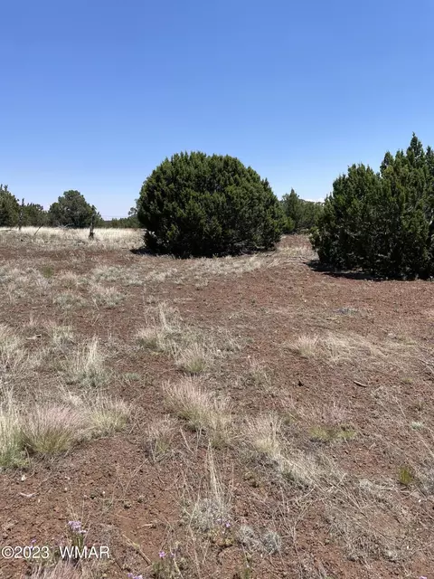 20 County Rd, Concho, AZ 85924 photo 5