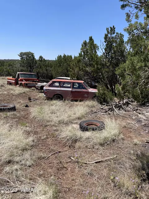 20 County Rd, Concho, AZ 85924 photo 26