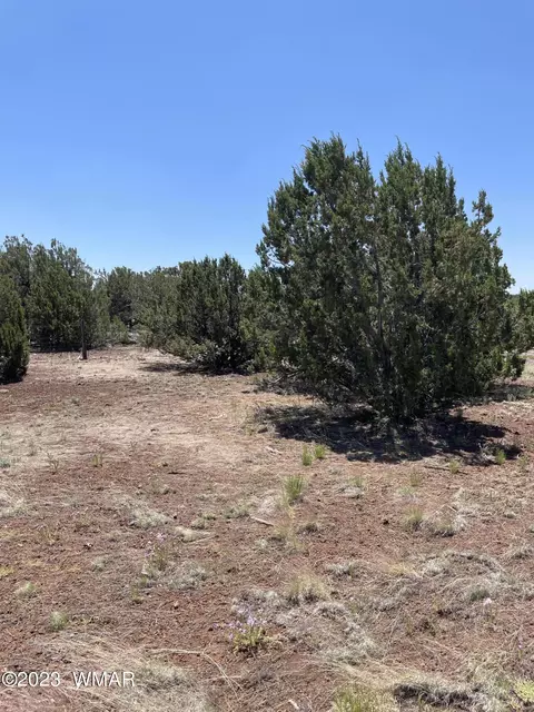 20 County Rd, Concho, AZ 85924 photo 4
