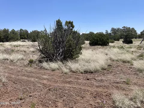 20 County Rd, Concho, AZ 85924 photo 35