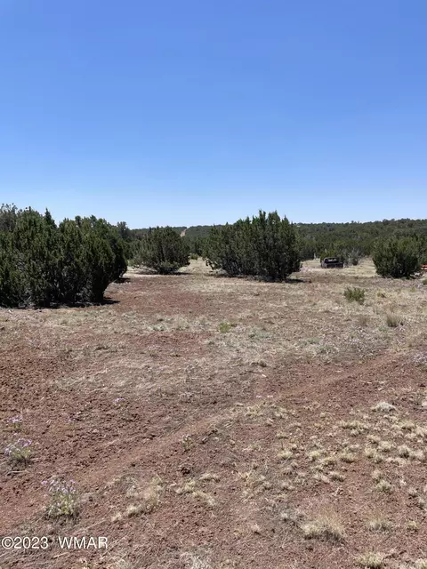 20 County Rd, Concho, AZ 85924 photo 6