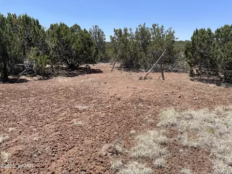 20 County Rd, Concho, AZ 85924 photo 1