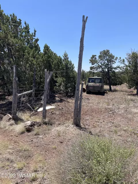 20 County Rd, Concho, AZ 85924 photo 10
