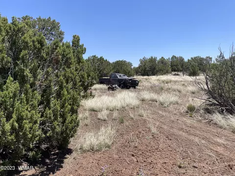 20 County Rd, Concho, AZ 85924 photo 36