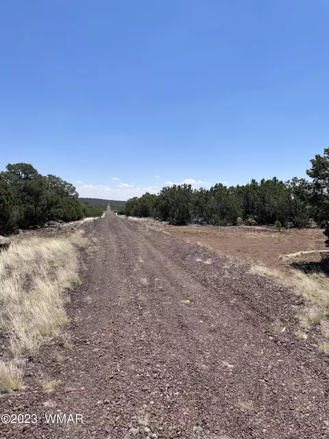 20 County Rd, Concho, AZ 85924 photo 9