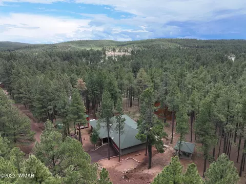 5523 N Forest North Dr, Pinedale, AZ 85934