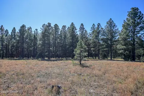 tbd 3 Birdsong Way, Lakeside, AZ 85929