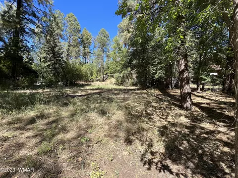 tbd W Pine Shadow Dr, Lakeside, AZ 85929
