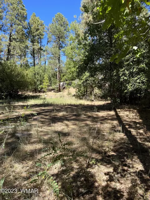 tbd W Pine Shadow Dr, Lakeside, AZ 85929 photo 4